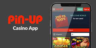 Full review of Pin Up Gambling establishment